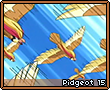 Pidgeot15.png