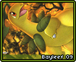 Bayleef09.png