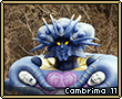 Cambrima11.png