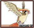 Pidgeot17.png
