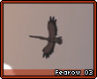 Fearow03.png