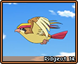 Pidgeot14.png