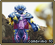 Cambrima10.png