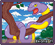 Ekans11.png