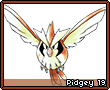 Pidgey19.png