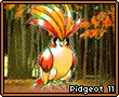 Pidgeot11.png