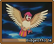 Pidgeotto14.png