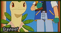 Bayleef master.png